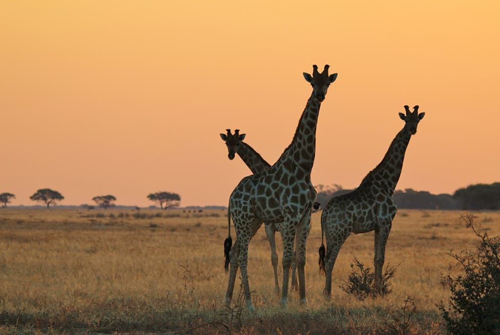 Shai Hills Resource Reserve